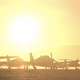 Image for article titled Are You Crazy Enough To Fly To Burning Man?